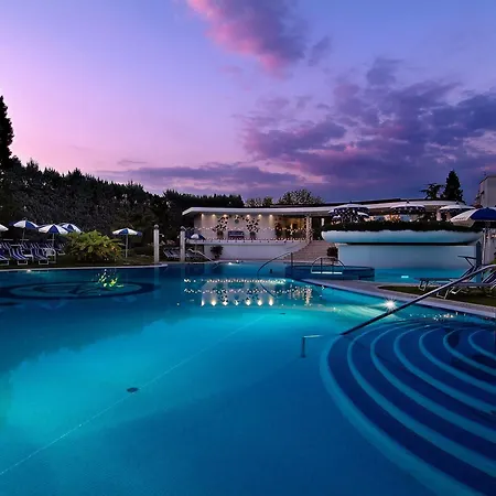 Mioni Pezzato 4*